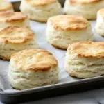 Homemade Make Ahead Biscuits Recipe photo