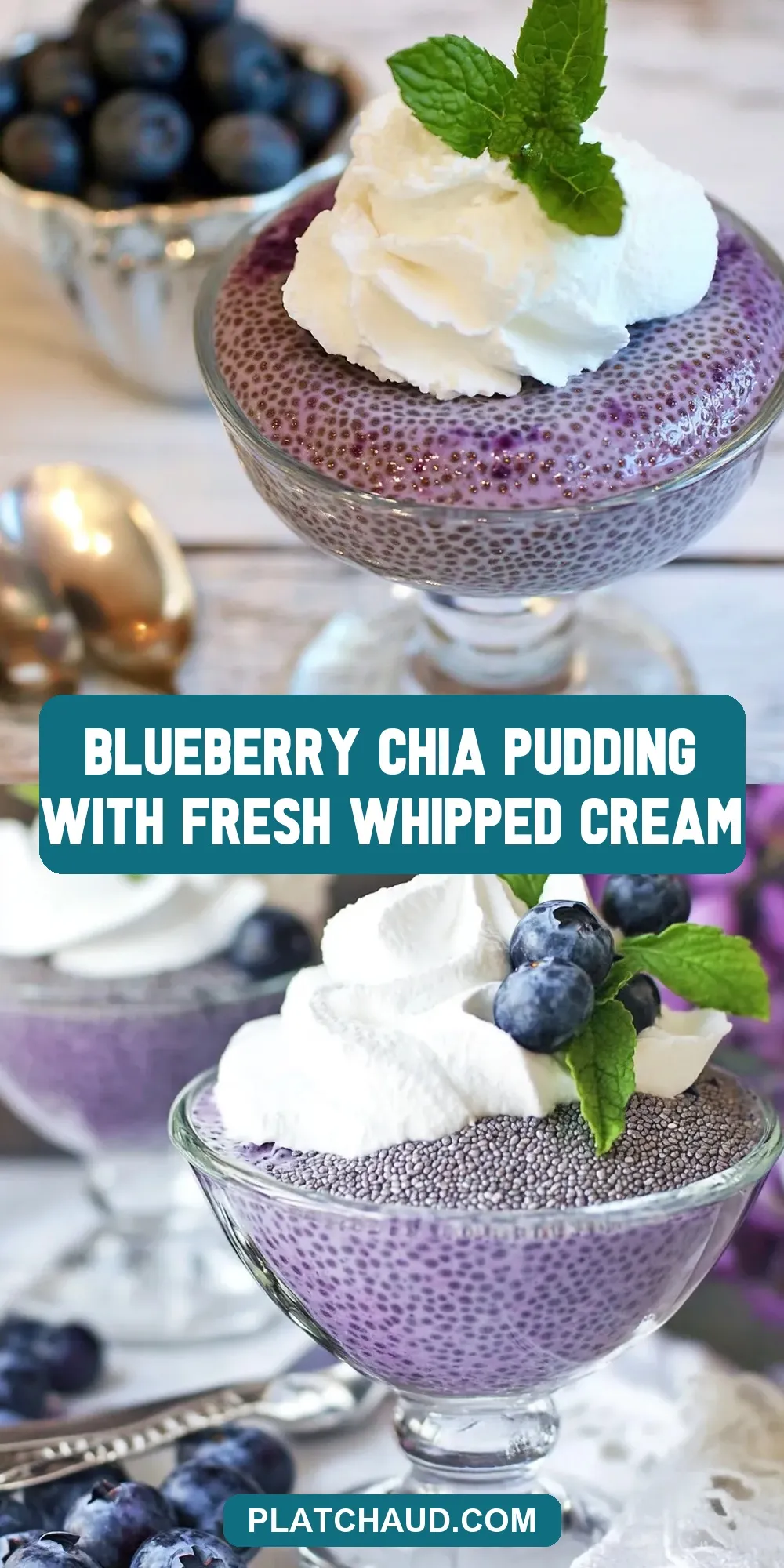 How To Make Amazing Blueberry Chia Pudding With Fresh Whipped Cream