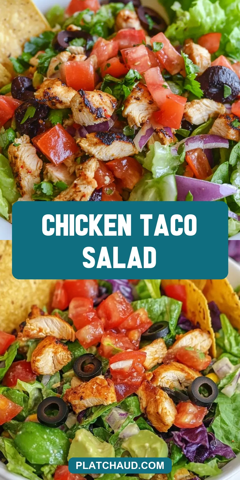 Chicken Taco Salad (Homemade & Delicious)