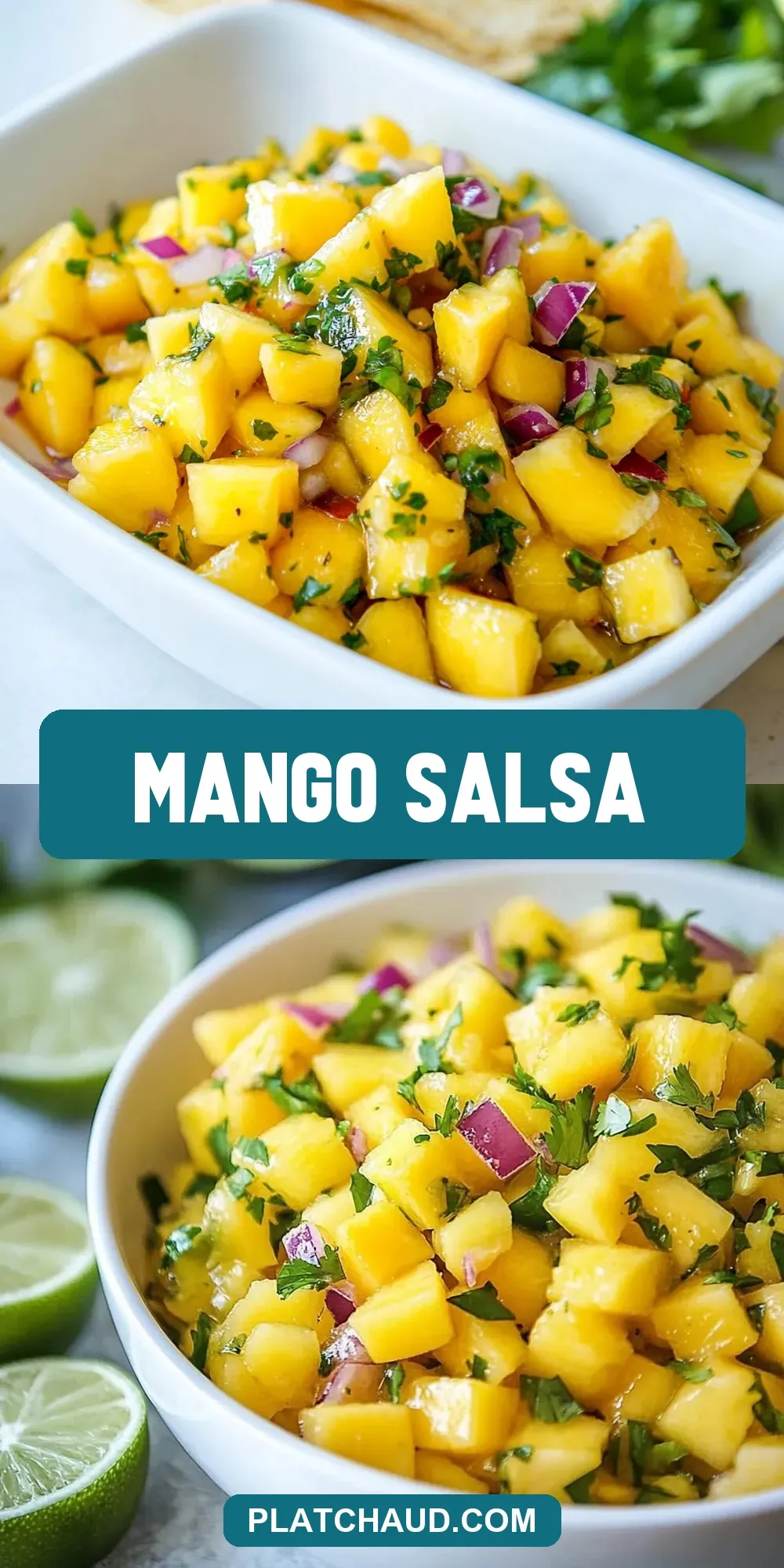 Mango Salsa Recipe