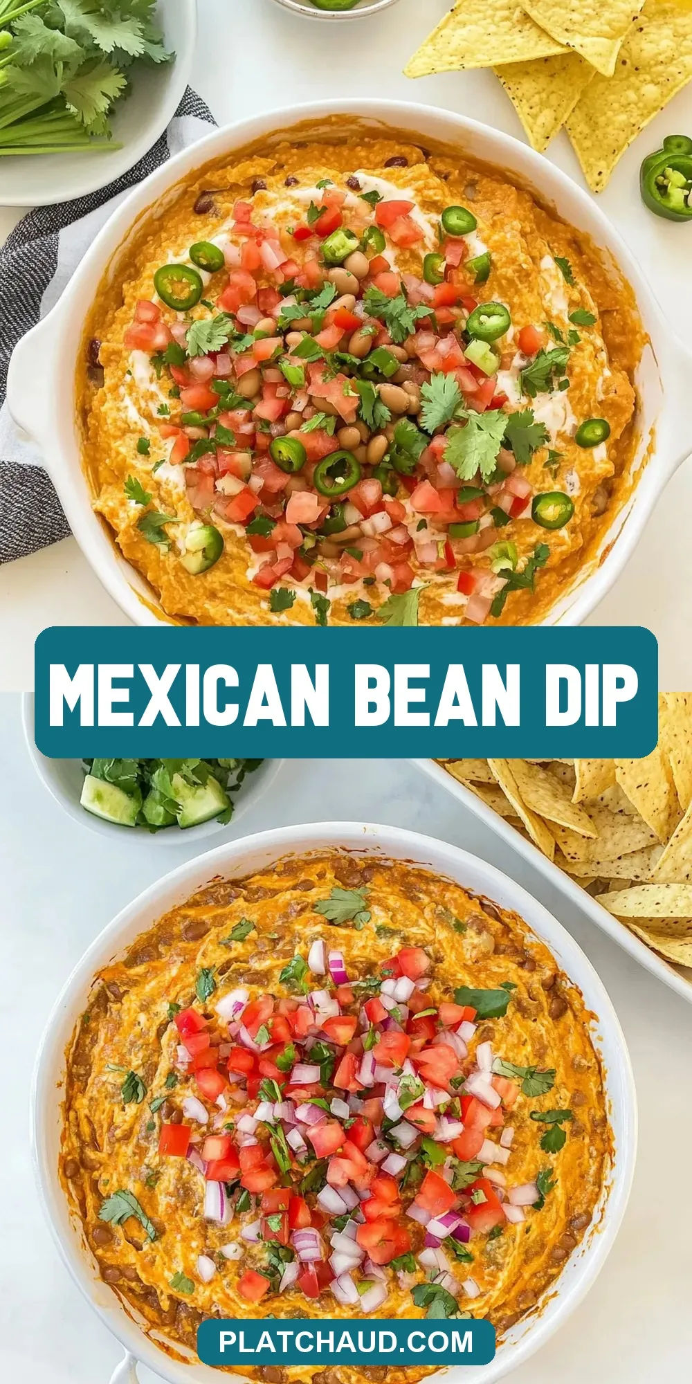 Homemade Mexican Bean Dip
