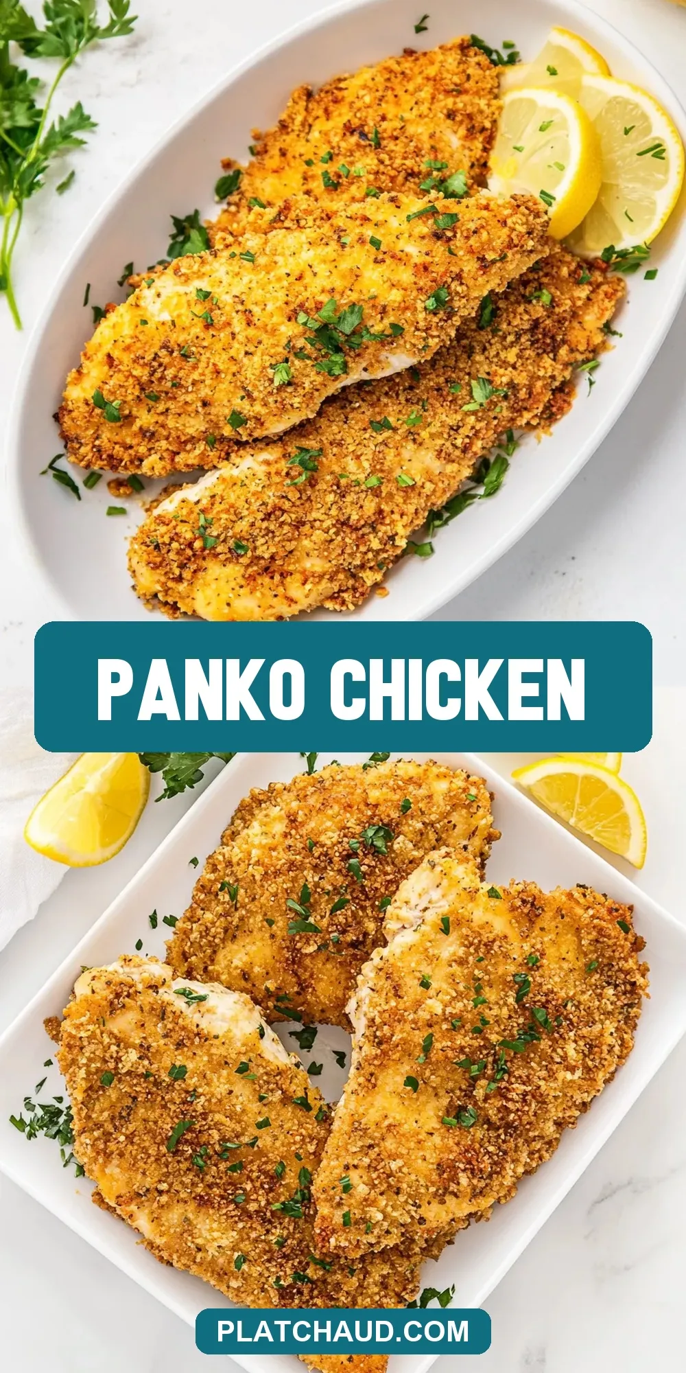 Panko Chicken Recipe