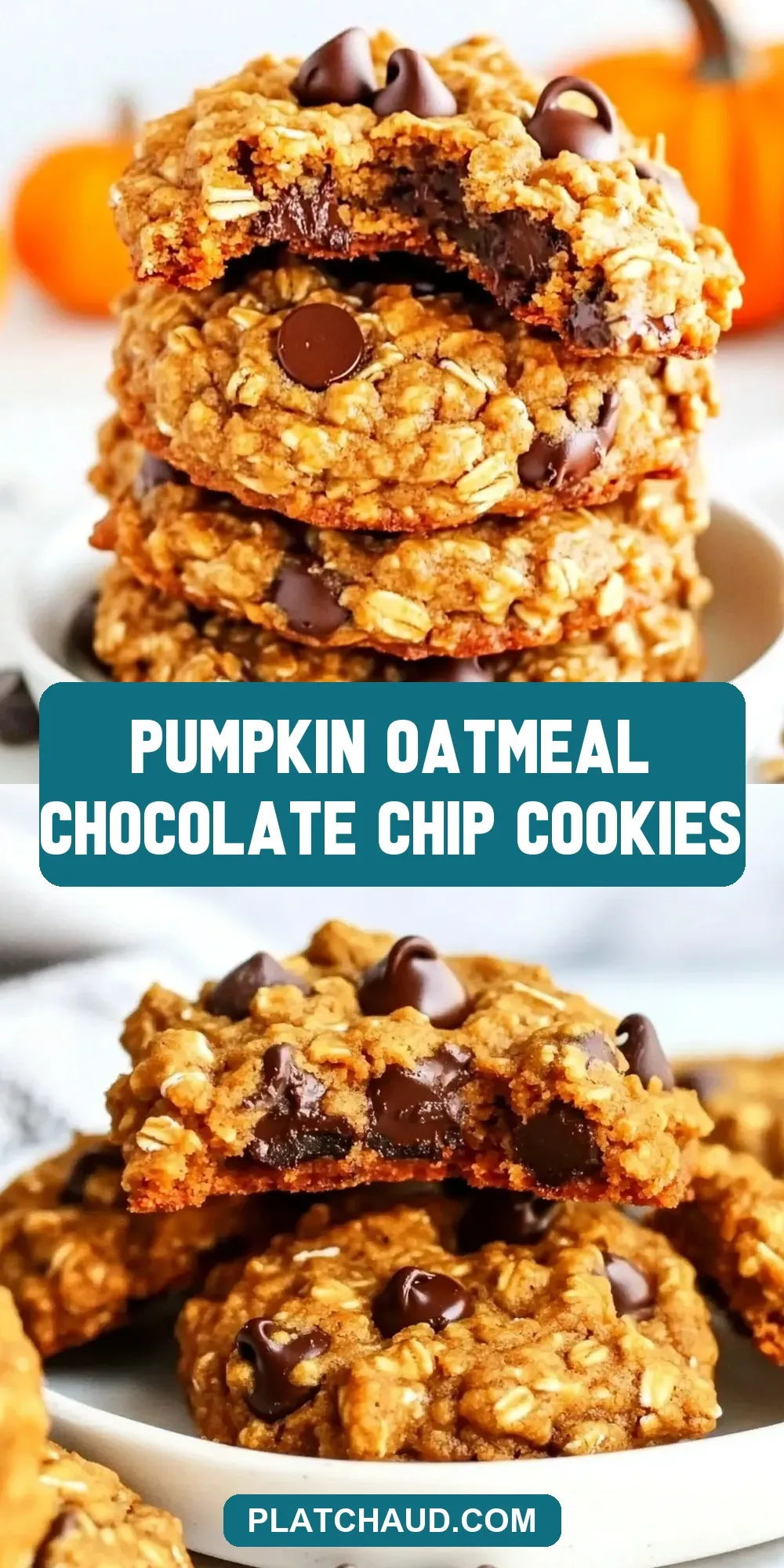 Fresh Pumpkin Oatmeal Chocolate Chip Cookies
