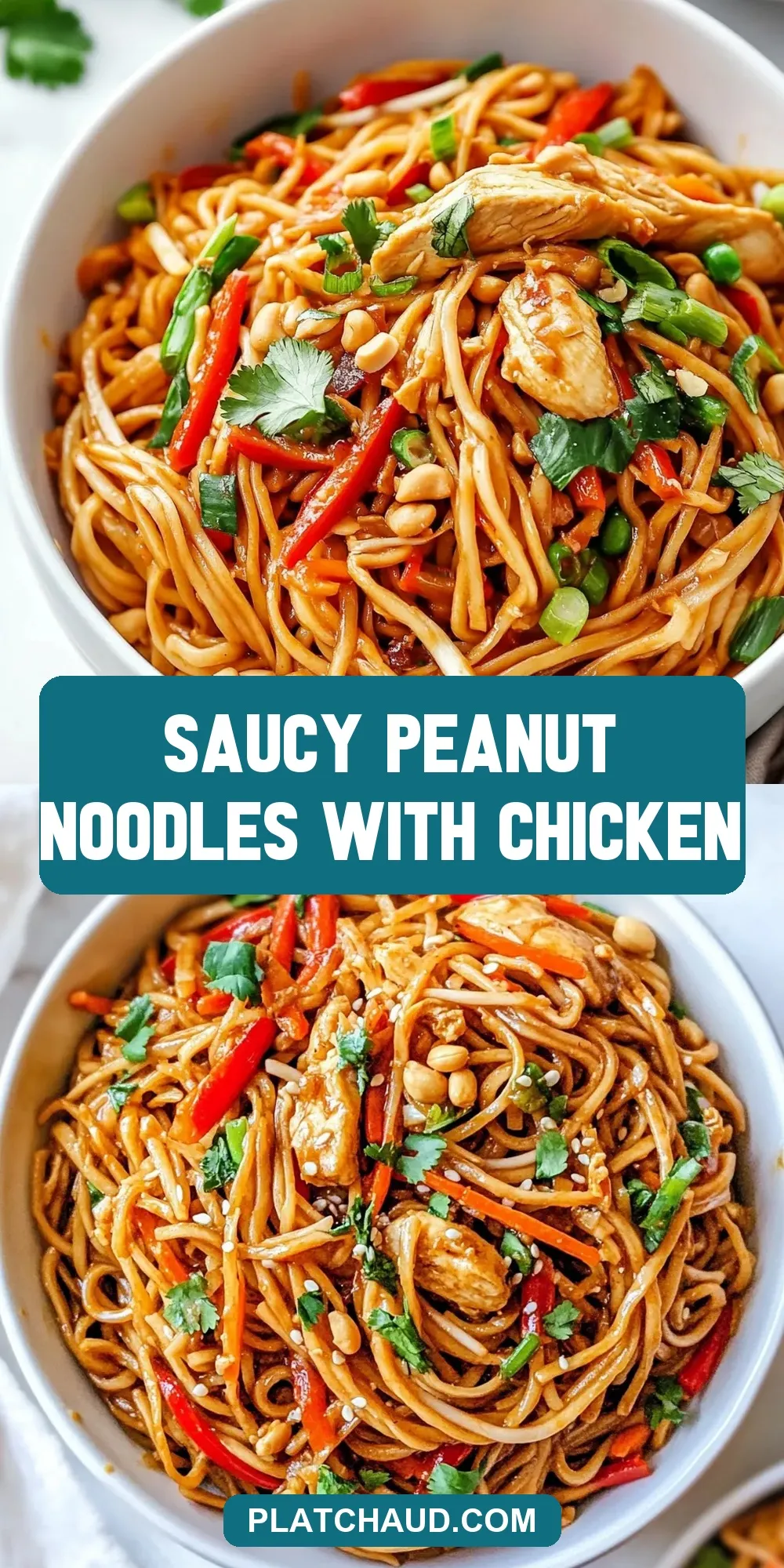 Easy Saucy Peanut Noodles With Chicken Recipe