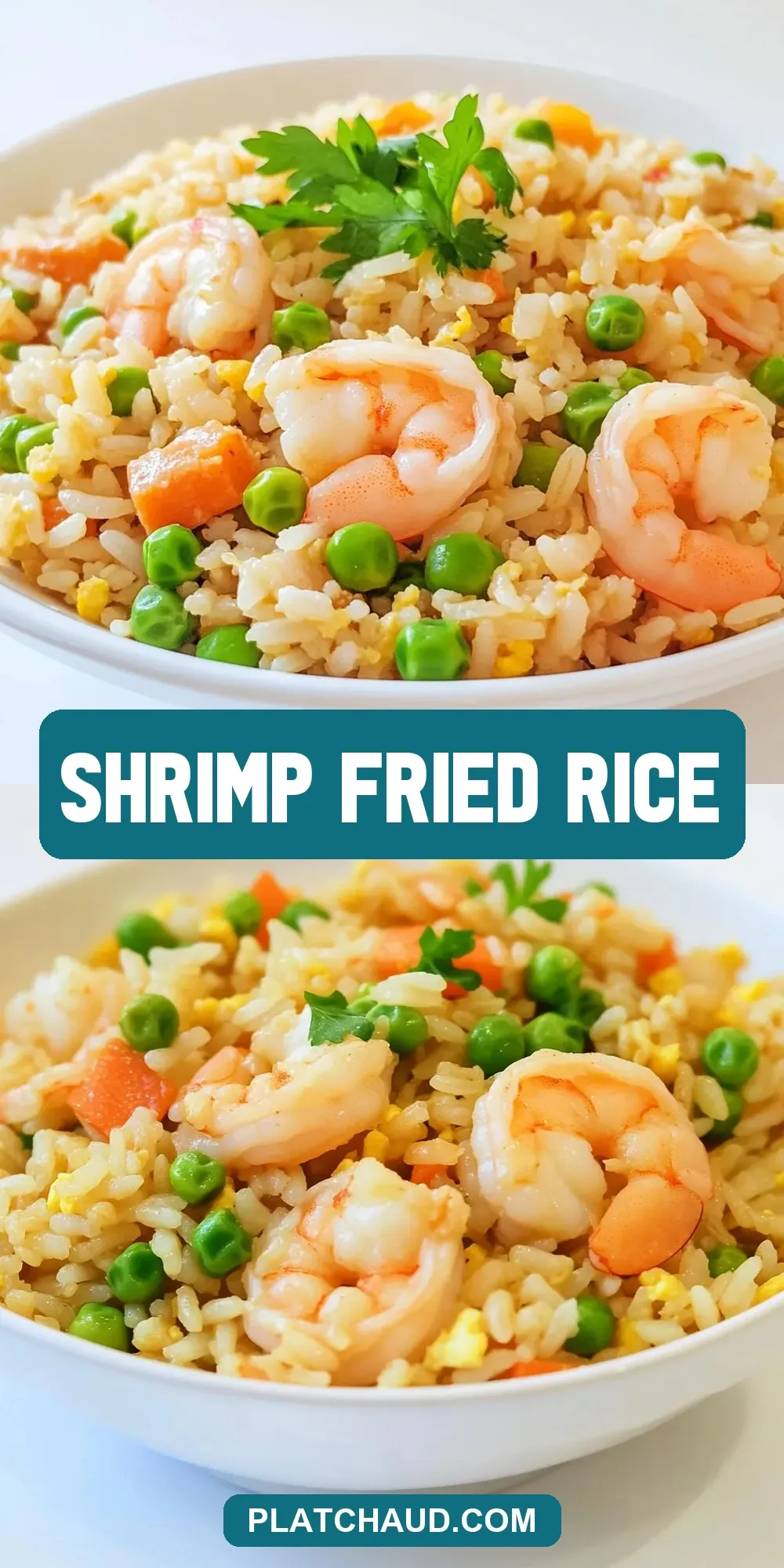 The Best Shrimp Fried Rice Ever