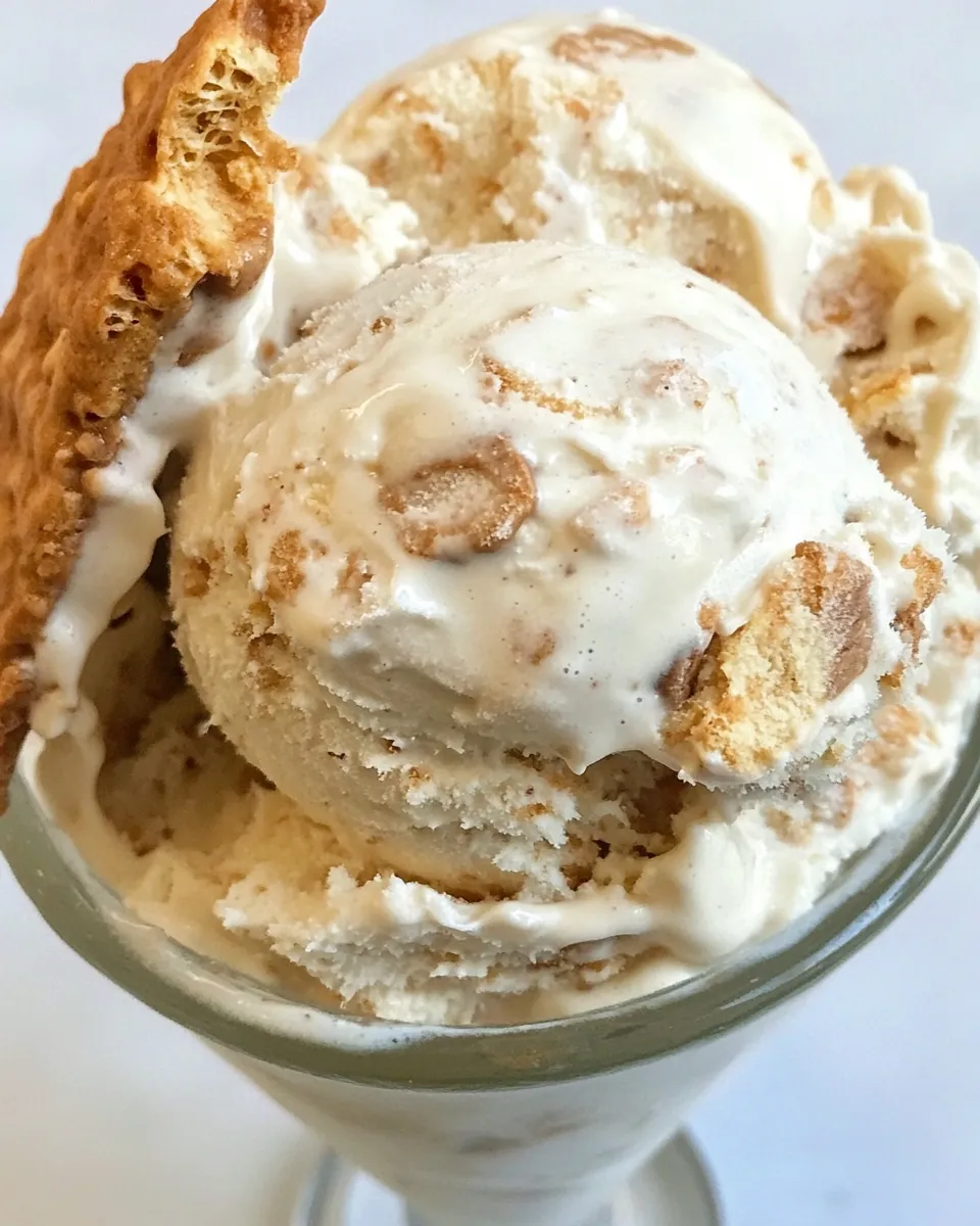 Ultimate Fluffernutter Chip Ice Cream. image