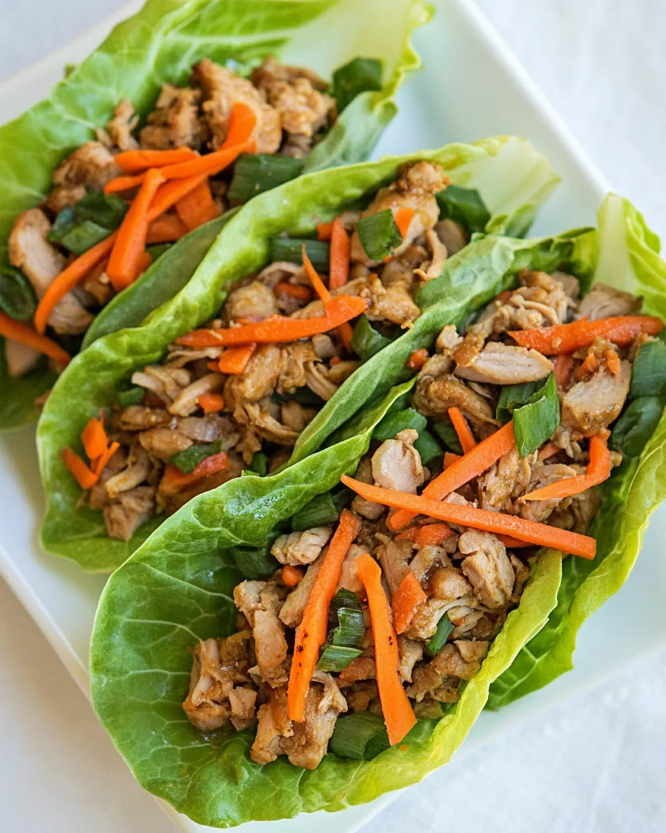 Quick Instant Pot Asian Turkey Lettuce Wraps (Keto, Paleo) dish photo